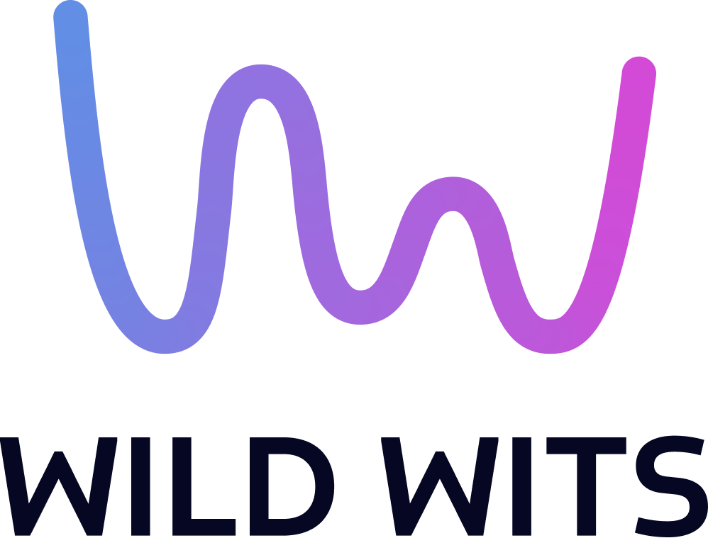 WILD WITS GAMES : a French indie studio